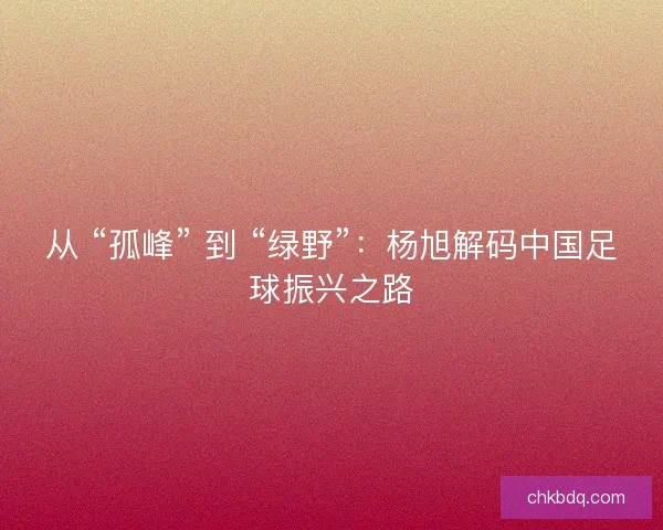 从 “孤峰” 到 “绿野”：杨旭解码中国足球振兴之路